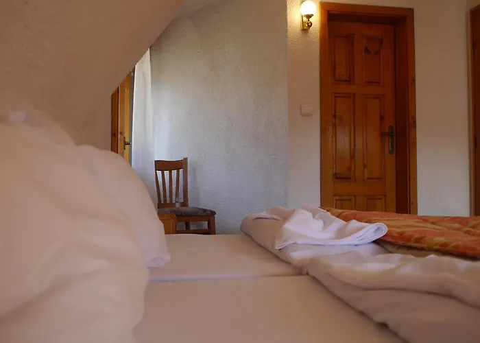 Hotel Family Silver 2*